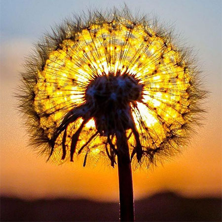 دانلود آهنگ جانم که تو جانانی حجت اشرف زاده